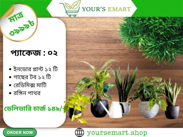 💥২৫% বিশাল ডিসকাউন্টে💚 ইনডোর গাছের প্যাকেজ অর্ডার করুন