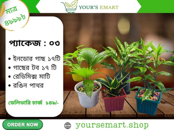 💥২৫% বিশাল ডিসকাউন্টে💚 ইনডোর গাছের প্যাকেজ অর্ডার করুন